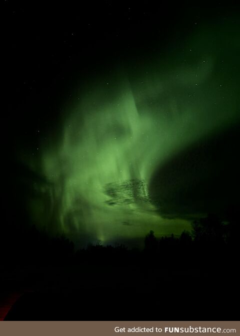 The northern lights