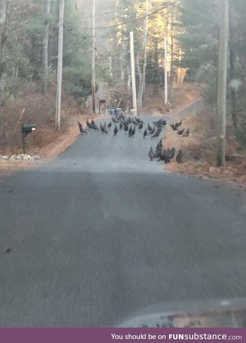 Thanksgiving Day survivor group meeting