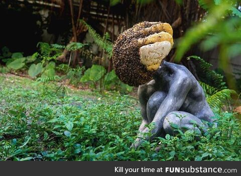 Beehive engulfing this statue