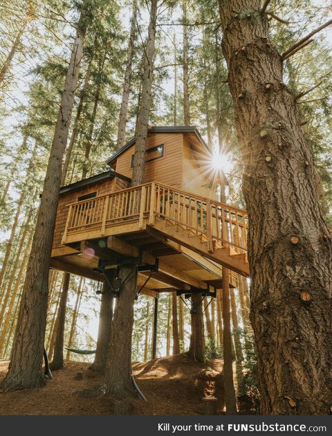A Treehouse in Washington state