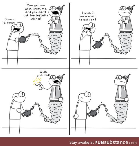 One wish genie