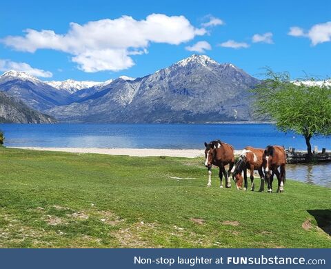 Puerto patriada, el hoyo, argentina