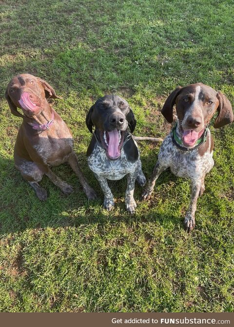 Triple trouble