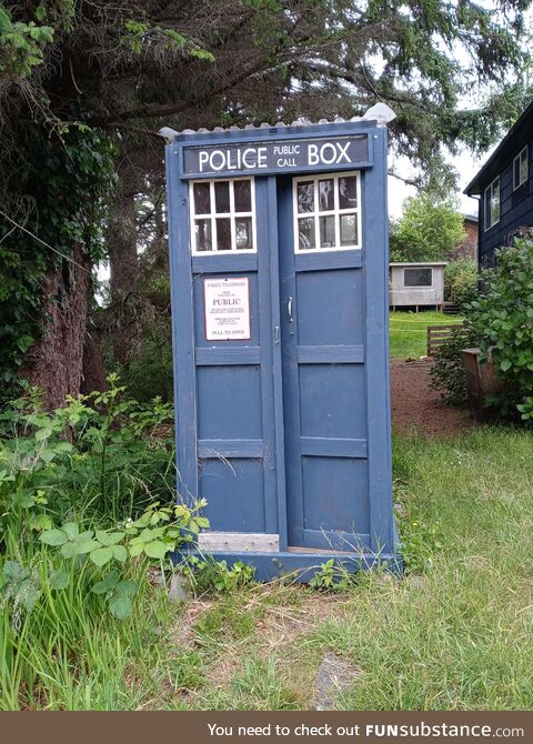The TARDIS in the wild