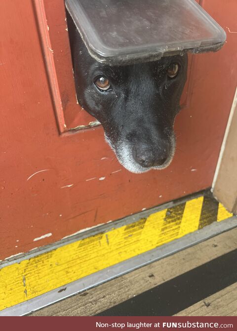 He wants to go out but doesn’t want to get wet