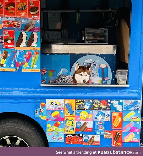 Sorry, we’re out of Frosty Paws