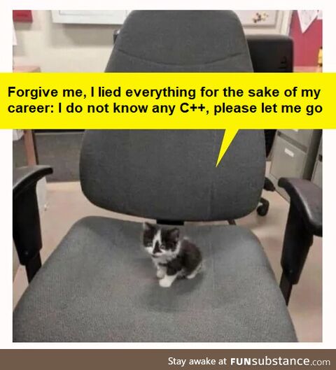 Cute little programmer