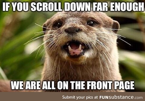 Wholesome otter