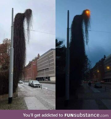 An overgrown lamp post In Poland
