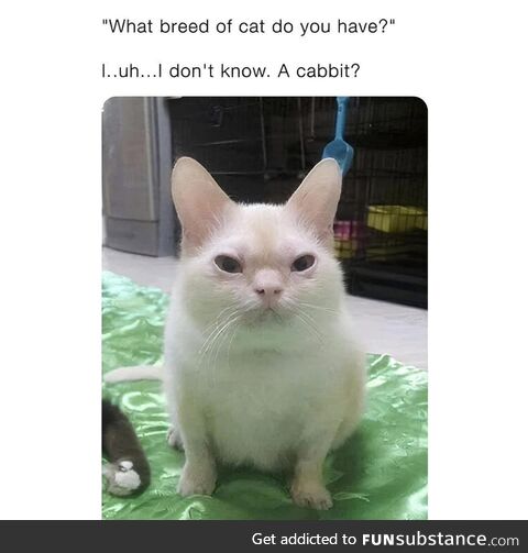 Bruh