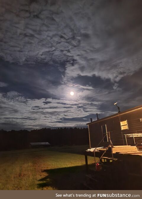 My backyard tonight