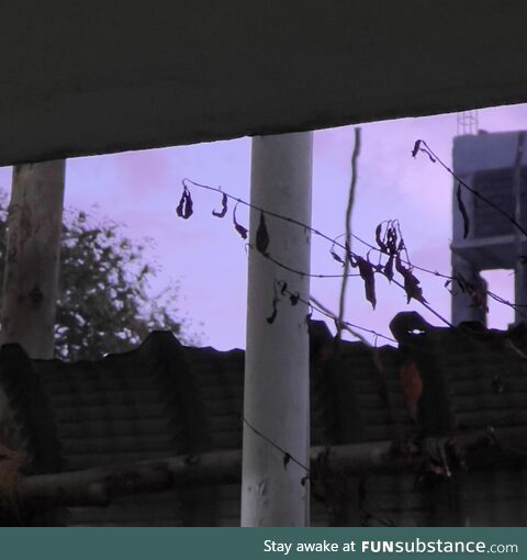 When the sky was actually pink and white