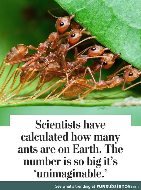 PSA: Cancer research on hold