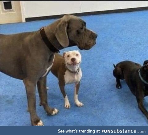 Get you a girl that looks at you like this girl…