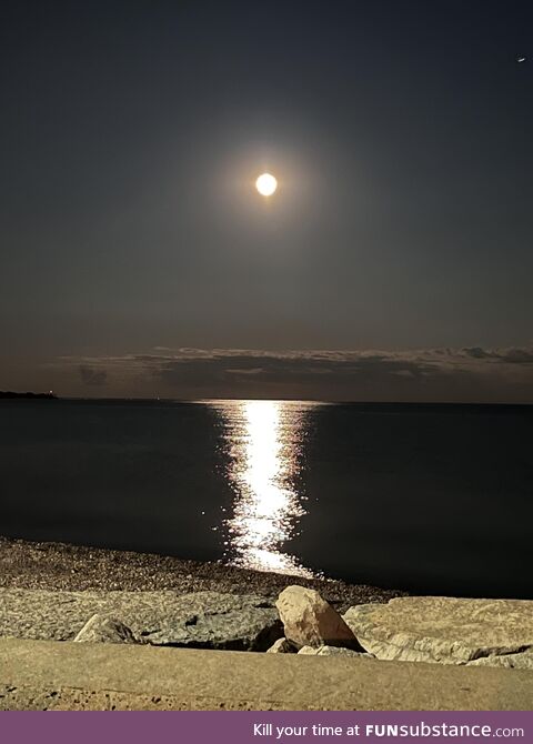 Moonlit night
