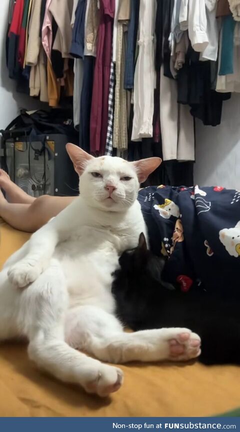 He looks so tired of his life