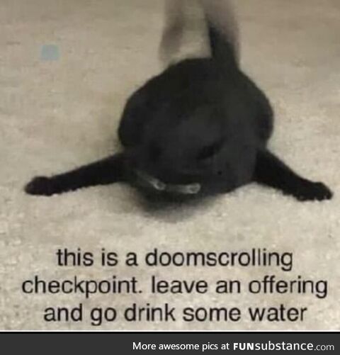 Runtime prodigious decrepit