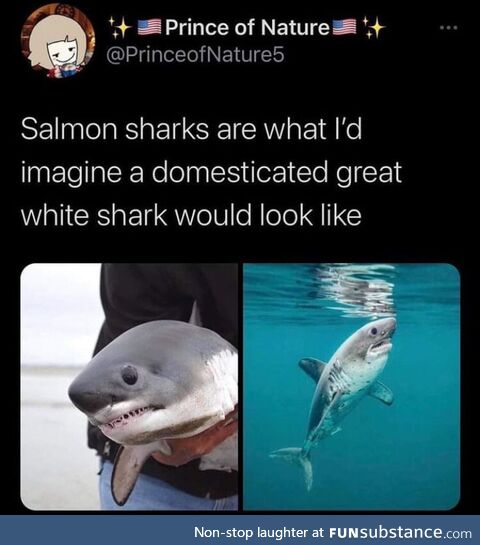 Naive callous bullied