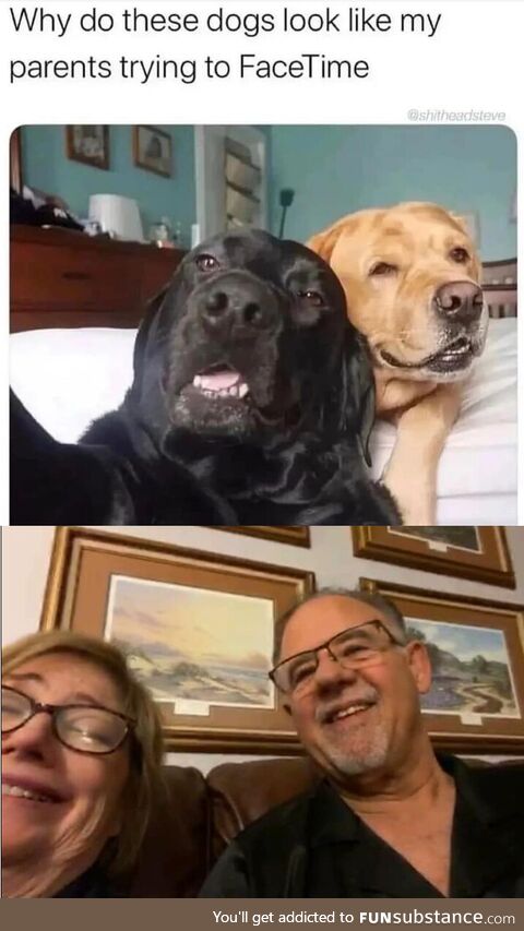 Art imitates life