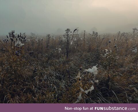 Walks in the open air