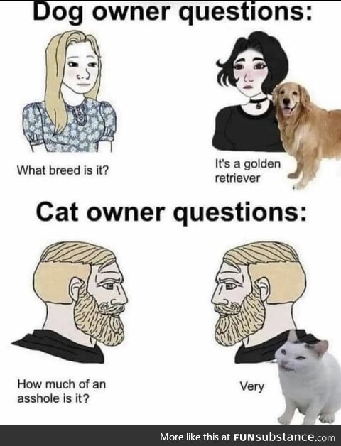 Dogs or Cats?