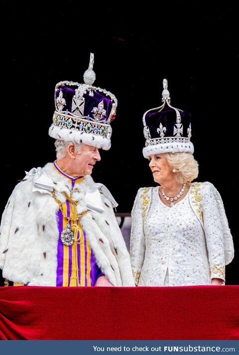 From this angle, their hats look huge