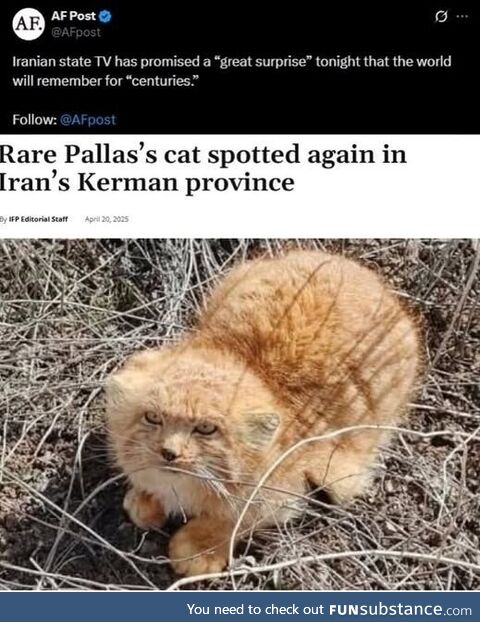 Something actually happened