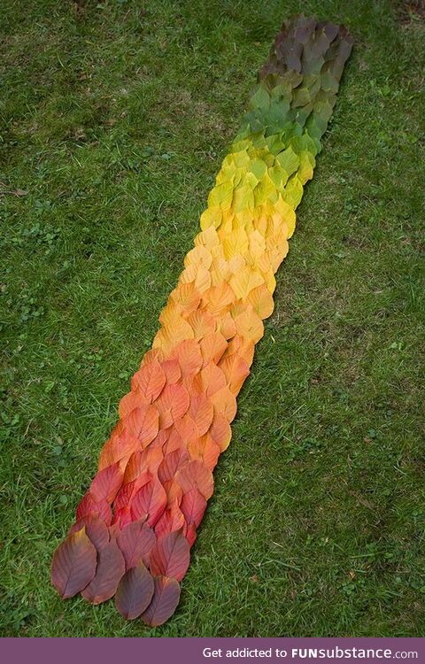 Seasonal leaves