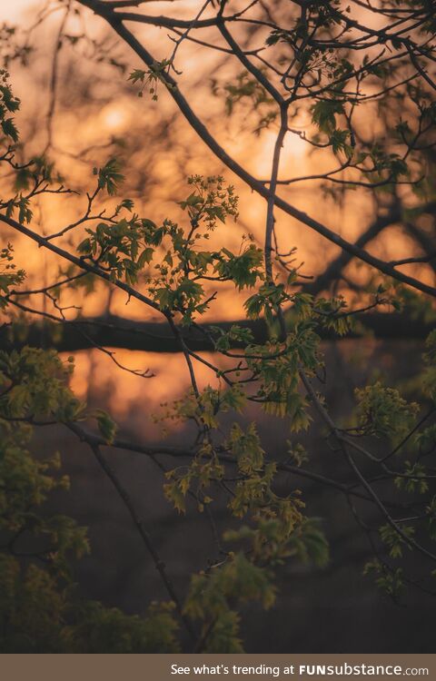 Sunset tonight in lower Michigan on a beautiful spring evening