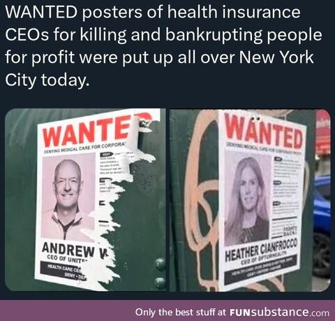 Does anyone have the files to print these?