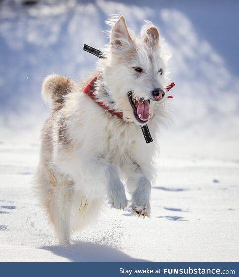 Snow makes him happy
