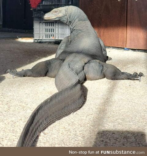 Learning some new moves