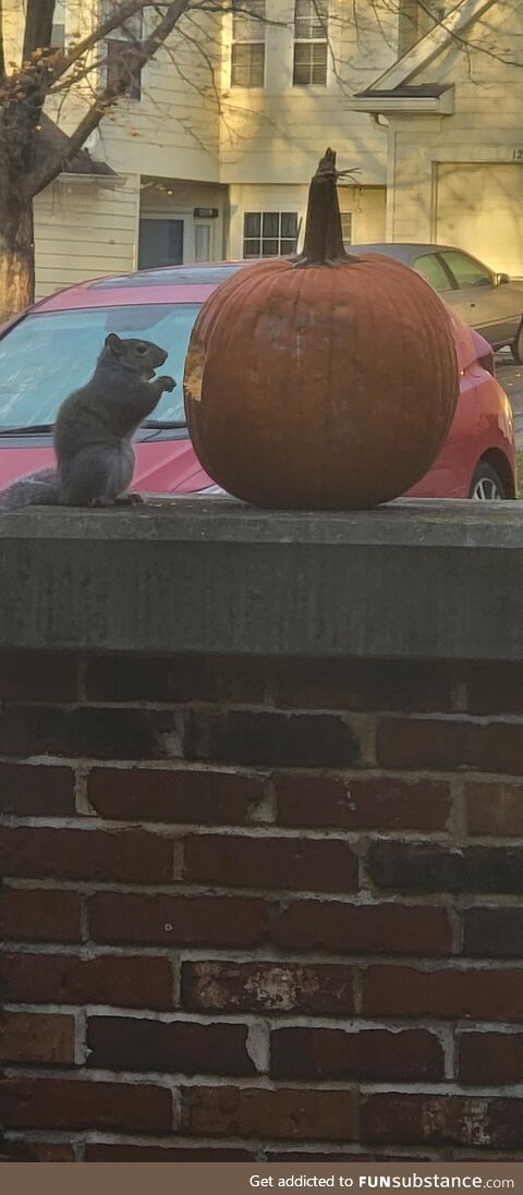 Time to get rid of the pumpkin