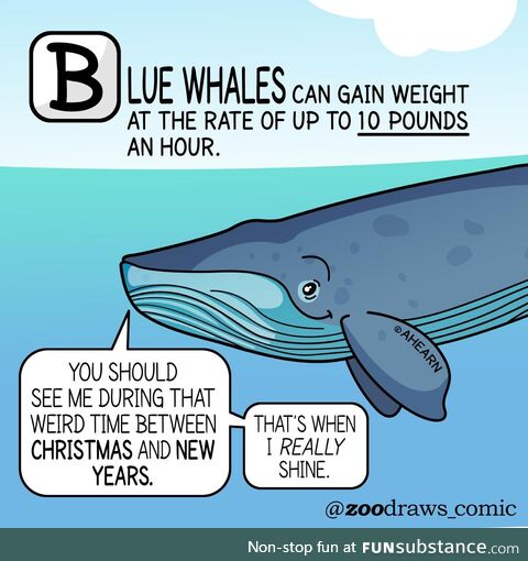 This is not a personal attack [oc}