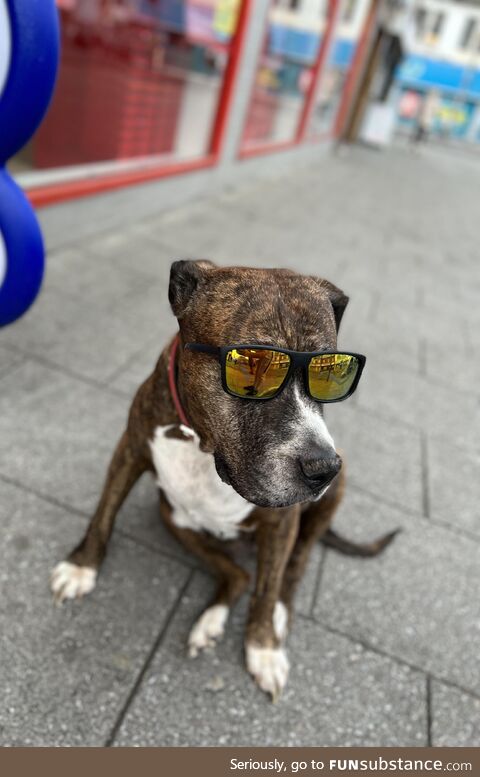 Ran into this dude today while out, just chilling [OC]
