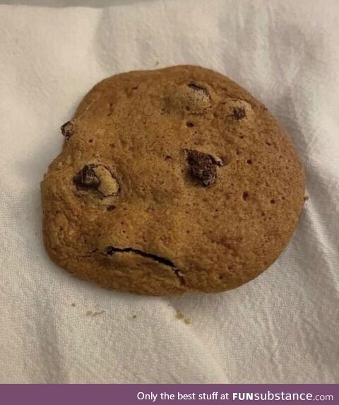 Looks like this cookie doesn’t want to be eaten :(