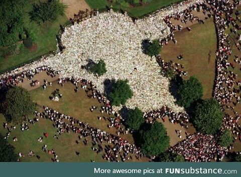 An aerial view of all the flowers that were left, before Princess Diana’s funeral