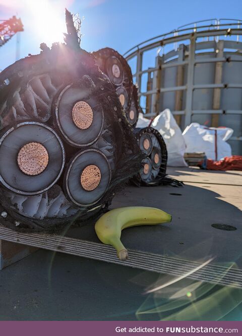 Cross section of a submarine power cable
