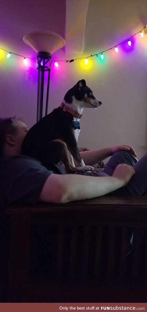 He was really into the show we were watching