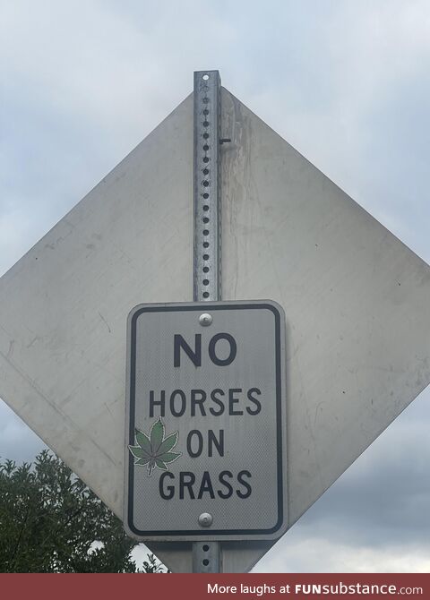 Keep your horses clean