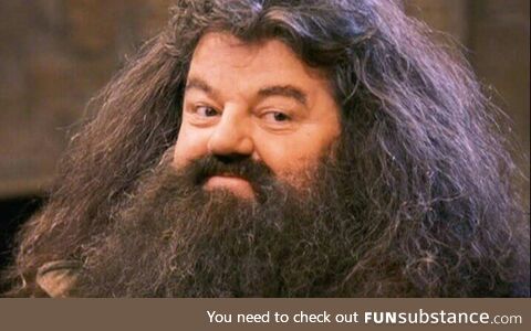Goodbye hagrid