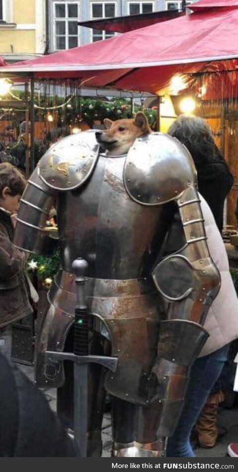 Sir Doge, protector of the Cafe!