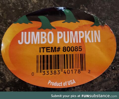 Costco's item # for Jumbo Pumpkins is the numeric equivalent of BOOBS