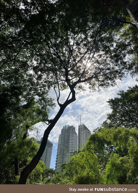 Nature as a relaxation