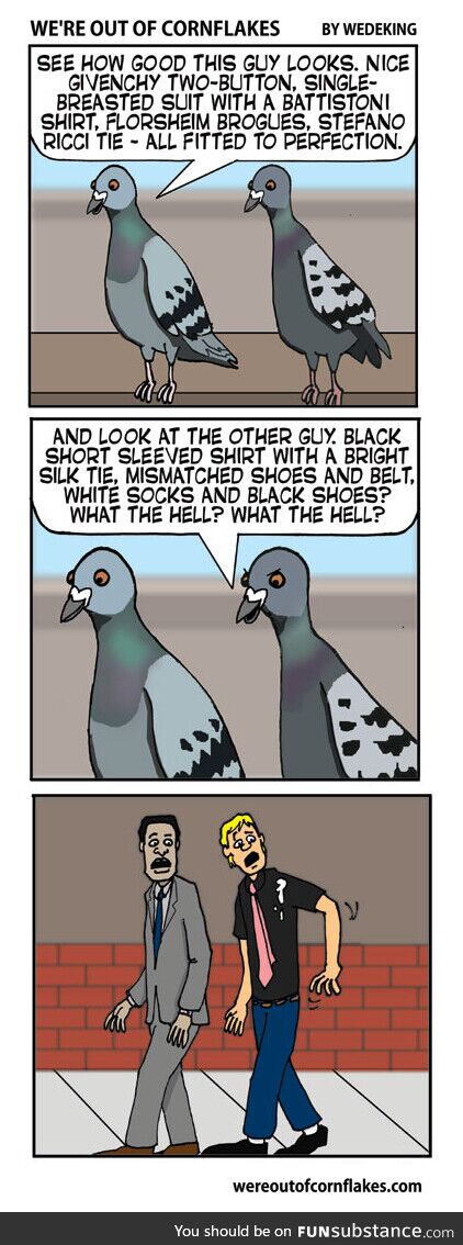 How pigeons pick their targets