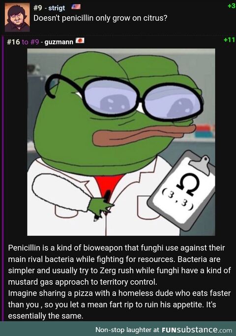 On penicillin