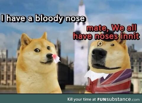 I love the internet