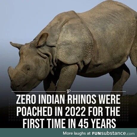 Discovered dreary thick