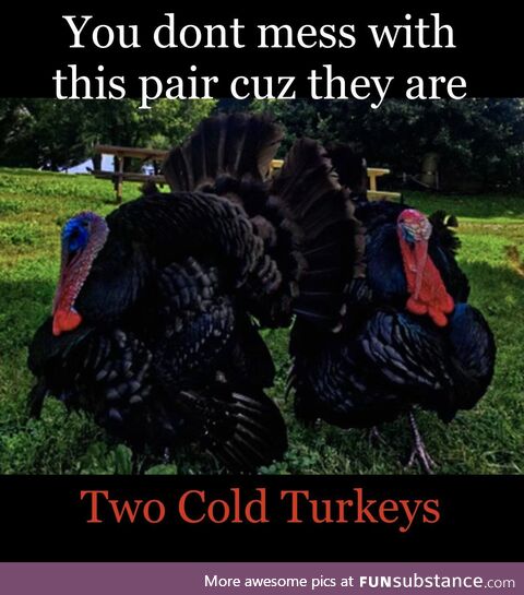 You don’t wanna run into these two on Nov 26