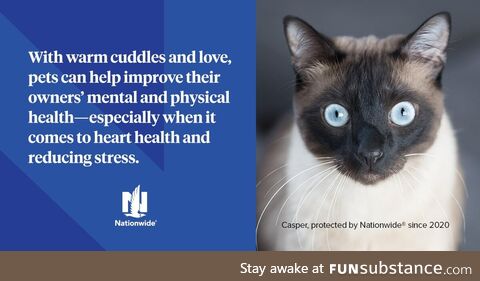 Return the love by making sure your pet is protected from the unexpected with